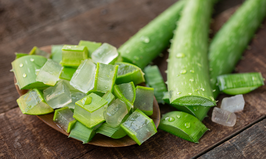 Aloe Vera: Ancient Wisdom & Natural Remedies ("The Potted Physician")