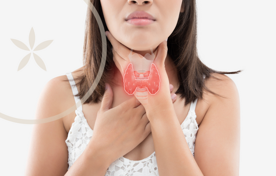Understanding Thyroid Health