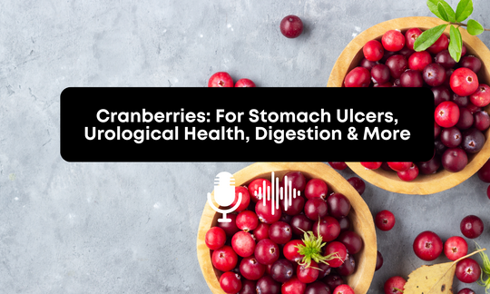 [Audio] Cranberries: For Stomach Ulcers, Urological Health, Digestion & More