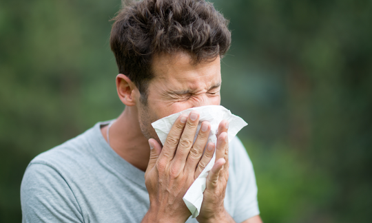 7 Ways To Ease Hay Fever & Allergies Naturally
