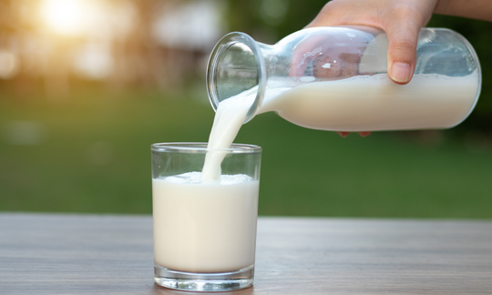 Should Humans Drink Milk? 5 Things You Should Know