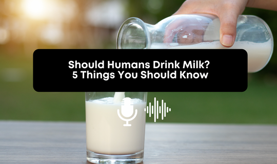 [Audio] Should Humans Drink Milk? 5 Things You Should Know