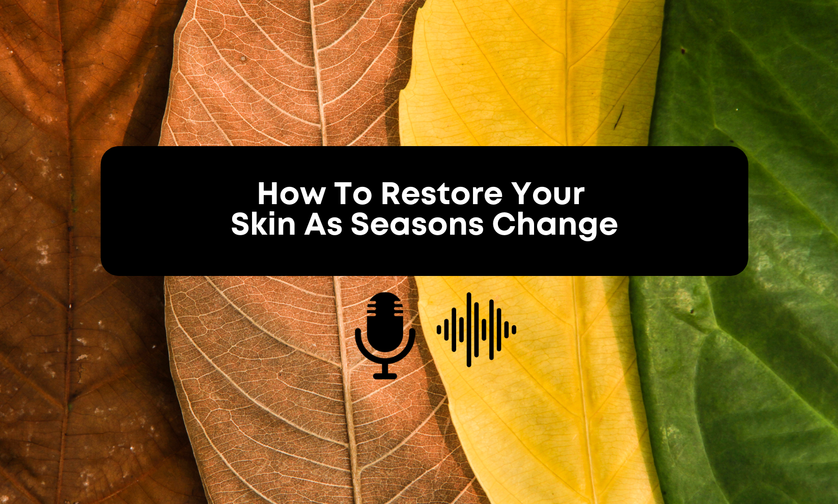 [Audio] How To Protect & Restore Your Skin As The Seasons Change ...