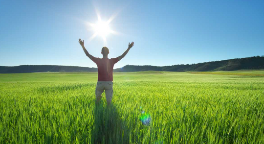 7 Key Reasons Why You Need Sunlight