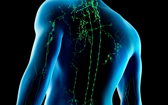 The Lymphatic System – Your Body’s Natural Detox Pathway