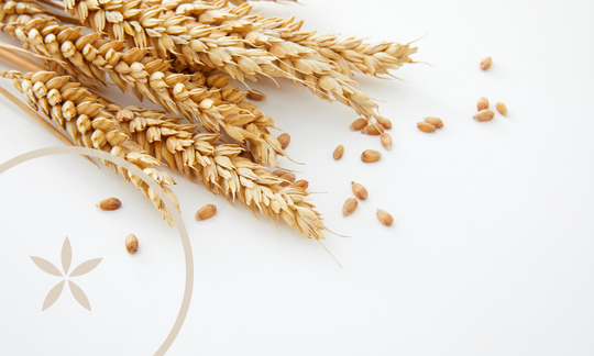 Celiac Disease: Signs, Causes & Natural Solutions